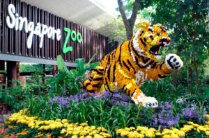 Сингапур - Зоопарк